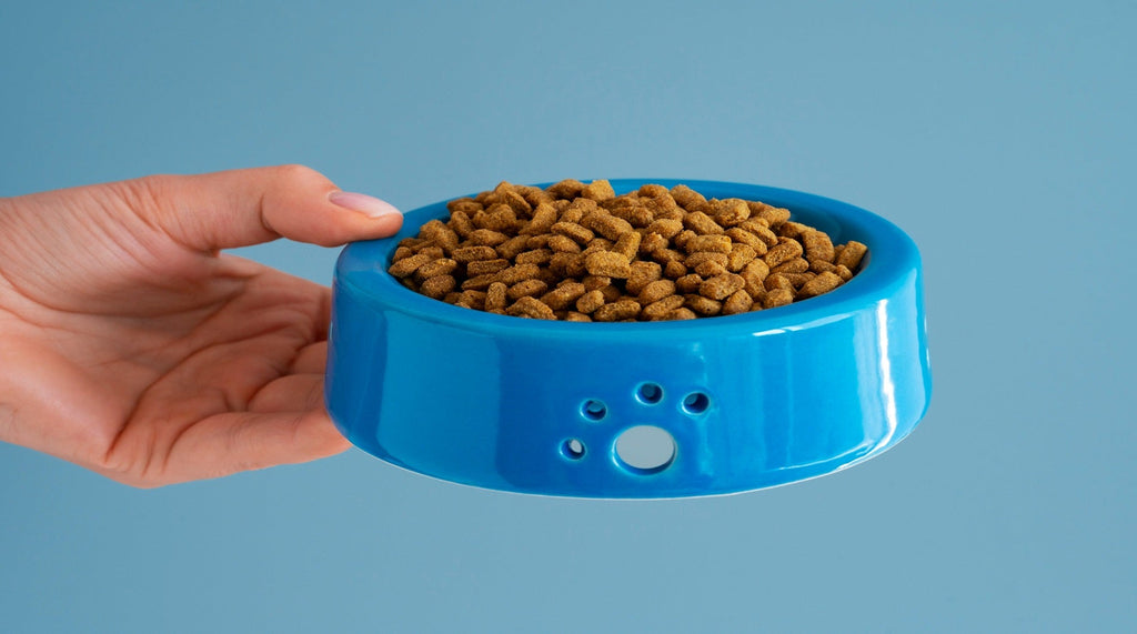 PET'S FOOD & WATER BOWL