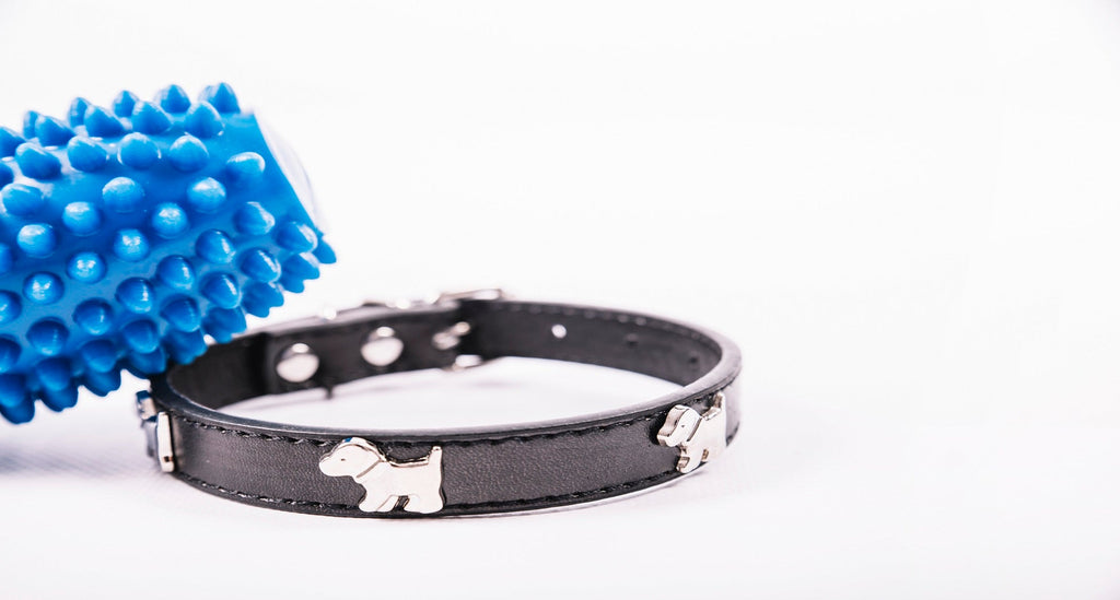 PET'S COLLAR